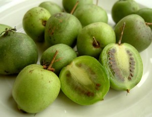 © Rubber Slippers in Italy, Mini-Kiwi kleine Kiwi