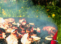 © aidzins Verbranntes auf dem Grill