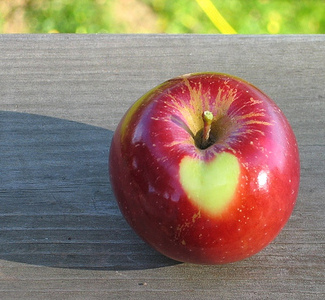© 3rdparty! Apfel