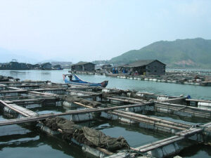 © eutrophication&hypoxia Aquakultur