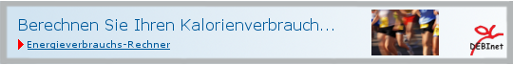 Energieverbrauchs-Rechner