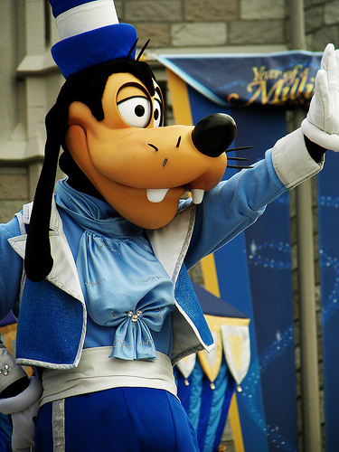 © Raymond Brown Goofy, Walt Disney