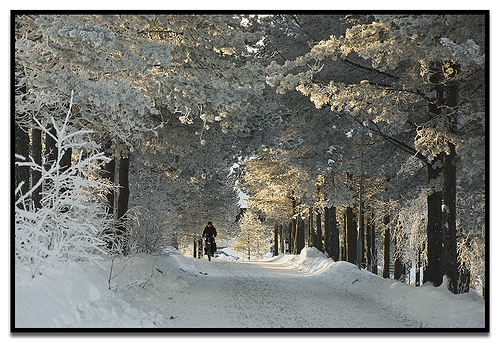 © Vitorio Benedetti Radfahrer im Winter