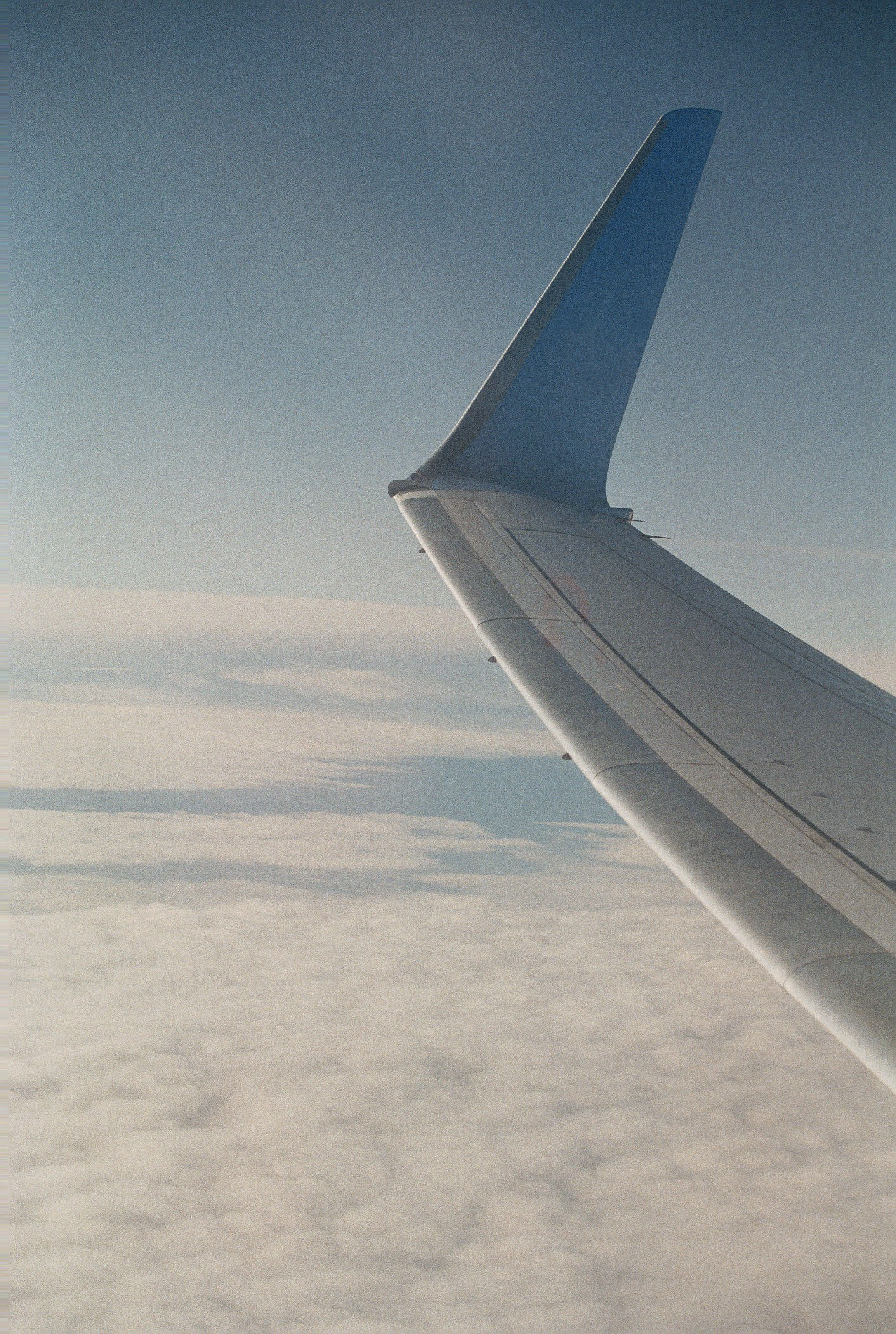 Flugzeugflügel