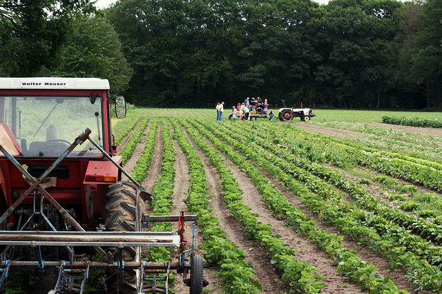 © suzettesuzette Traktor auf Feld