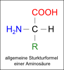 allgemeine Strukturformel einer Aminosäure