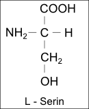 Strukturformel L-Serin