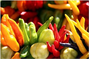 © angelika_ca Paprika