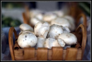 © hirondellecanada Champignon