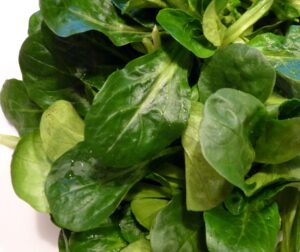 Feldsalat