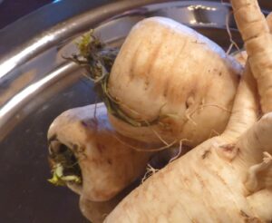 Pastinake