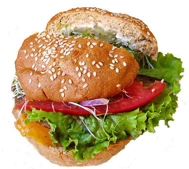 © nemuneko.jc Hamburger