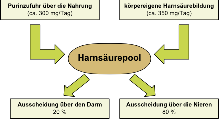 Bild Harnsäurepool